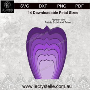 Alternative view of F170  Flower