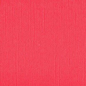 202238 Raspberry Puree