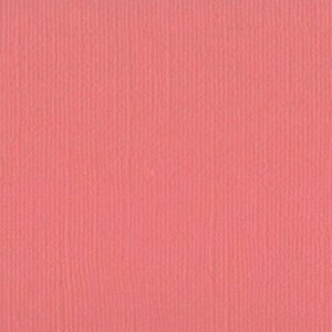 202255 Chestnut Rose