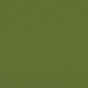 205524 Weeping Willow