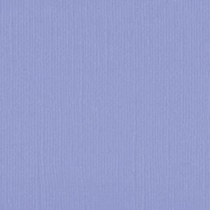 206641 Grape Compote