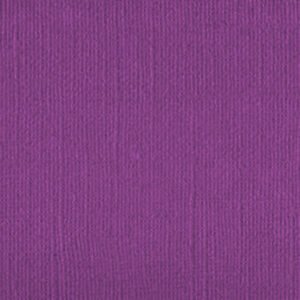 206650 Very Vivid Voilet