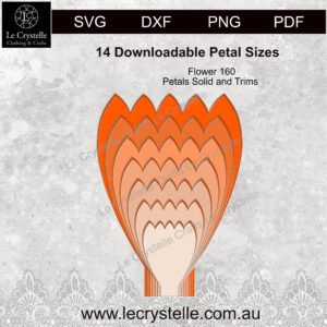 Alternative view of F160  Flower