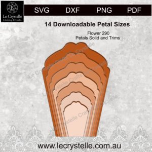 Alternative view of F290  Flower