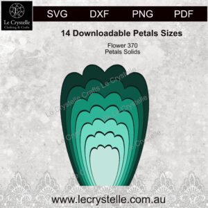 Alternative view of F370  Flower