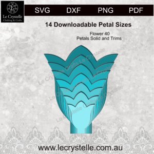 Alternative view of F40  Flower