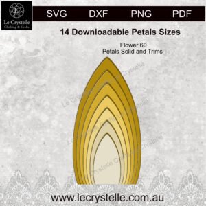 Alternative view of F60  Flower