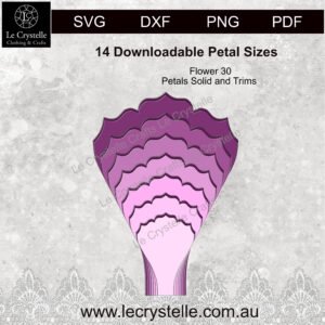 Alternative view of F10 Flower