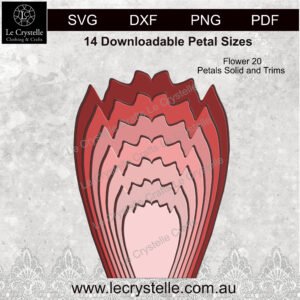 Alternative view of F20  Flower