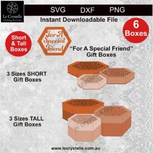 Alternative view of Special Friend Hexagon Box SVG