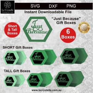 Just Because Hexagon Box SVG