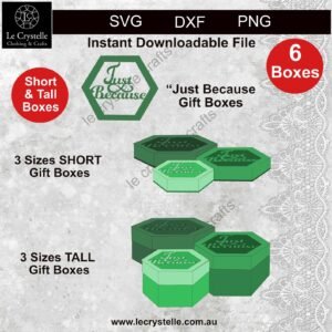 Alternative view of Just Because Hexagon Box SVG