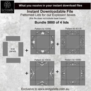 Alternative view of Explosion Box Patterned Lids 5000 SVG
