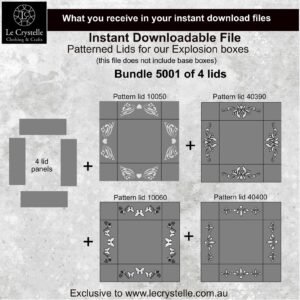 Alternative view of Explosion Box Patterned Lids 5001 SVG