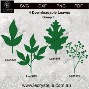 Leaves Group 6