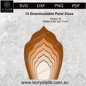 Alternative view of F30  Flower