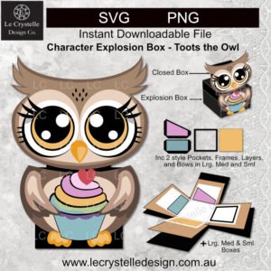Cute Owl Explosion Box