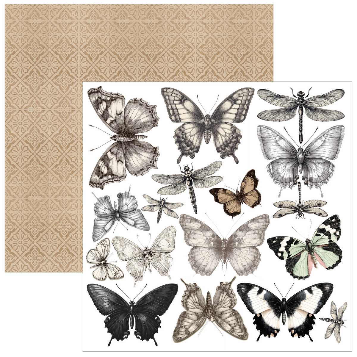 Ciao Bella Typographic Fussy Cut Pad 6"x6" 24/Pkg - Image 7