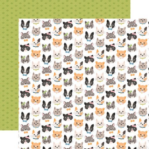 Cat Lover Collection Kit - Image 4