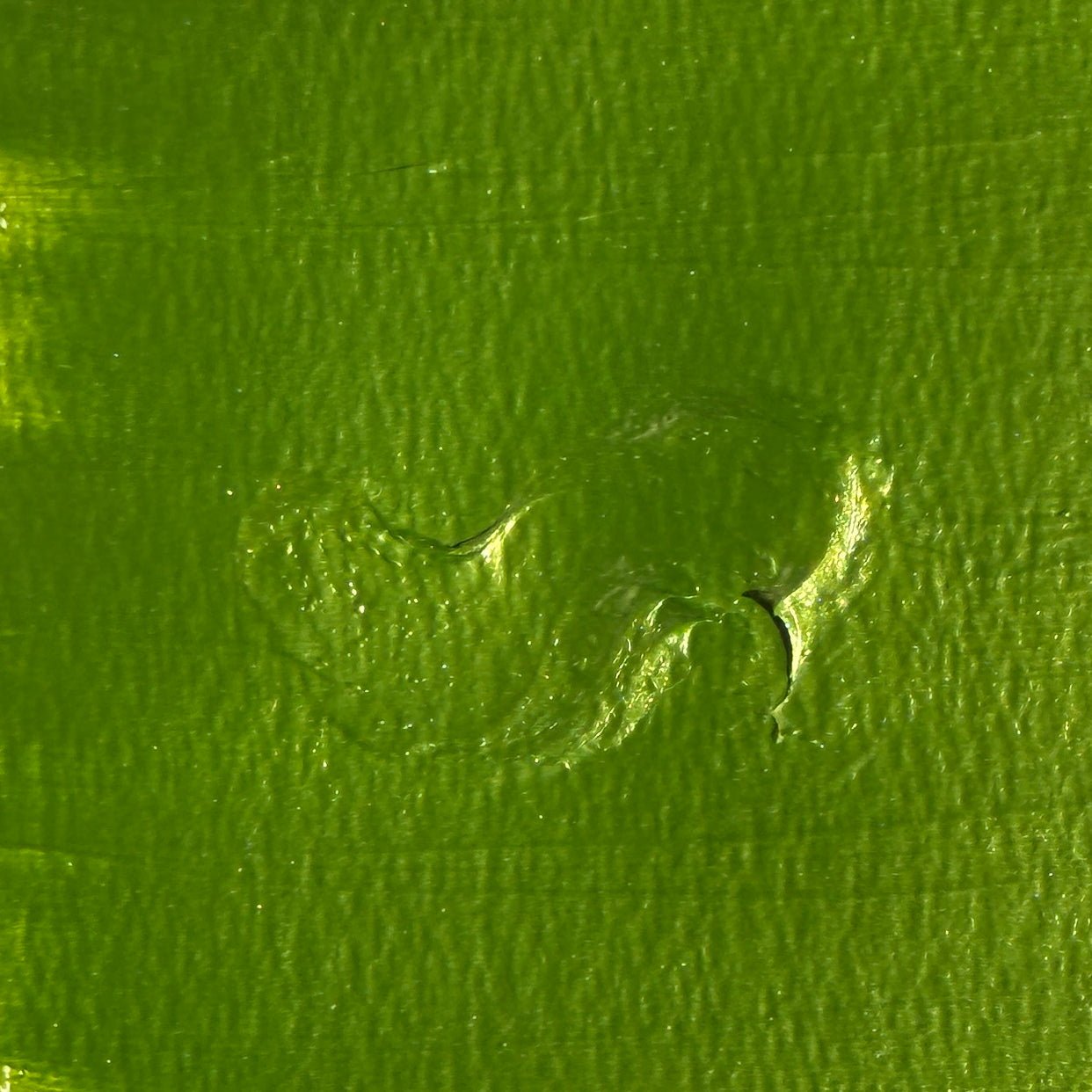 The Crafters Workshop - Stencil Butter - TCW9208 Pistachio 2oz.